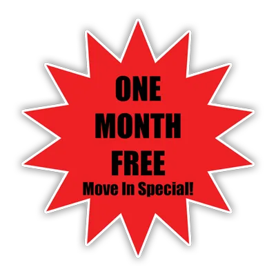 Special Offer